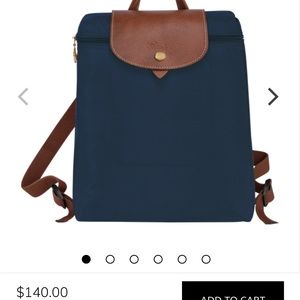 Longchamp Backpack